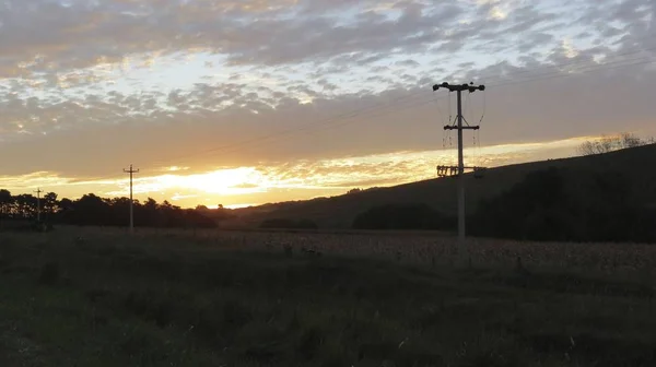 Beautiful sunrises in the field among the mist of dew rising.