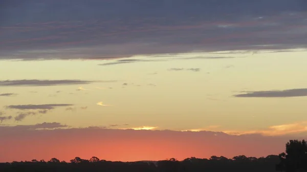 Prachtige Zonsopgang Het Veld Tussen Mist Van Dauw Stijgende — Stockfoto