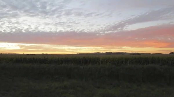 Wunderschöne Sonnenaufgänge Auf Dem Feld Inmitten Des Aufsteigenden Taunebels — Stockfoto