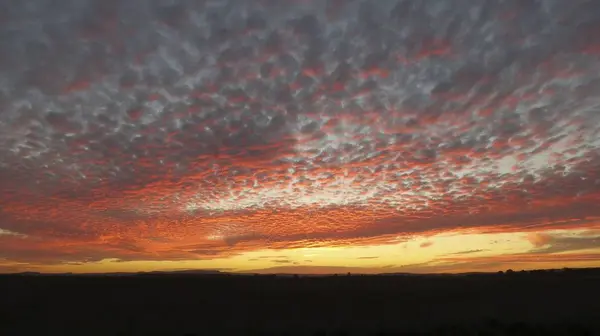 Прекрасные Восходы Солнца Поле Среди Тумана Росы Восходящей — стоковое фото