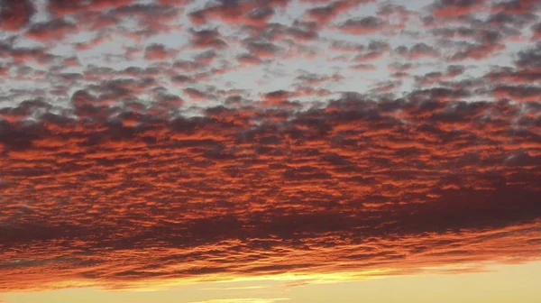 Gyönyörű Napfelkelte Mezőn Harmat Ködében — Stock Fotó