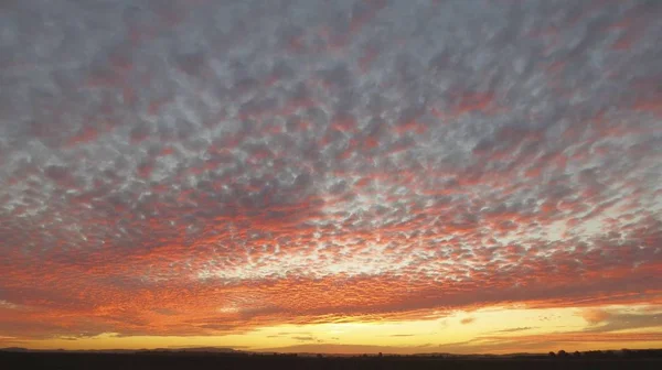 Прекрасные Восходы Солнца Поле Среди Тумана Росы Восходящей — стоковое фото