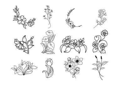 Vahşi çiçekler. Kır çiçekleri ve şifalı bitkiler çiz doğa botanik 