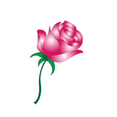 Vector Rose, Vintage Çiçek Dekorasyonu. Ru 'da Davet Kartı Tasarımı
