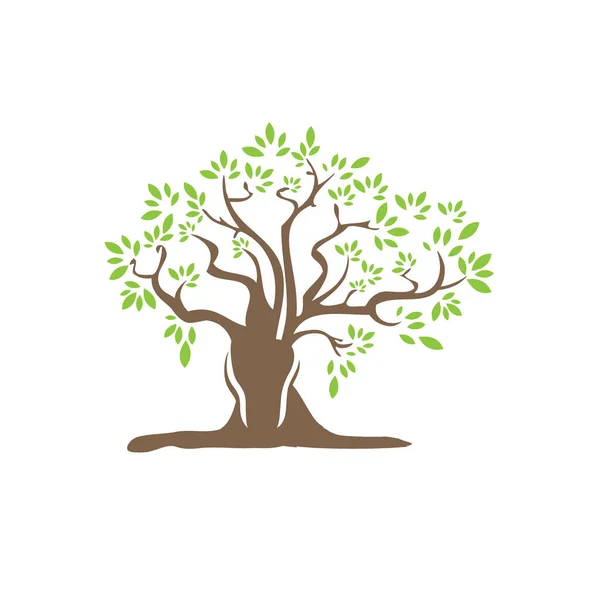 Baum-Logo-Vorlage. Natur-Icon-Design - Vektor, Baum-Ikone — Stockvektor