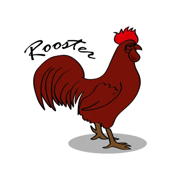 Icono de vector gallo aislado sobre fondo blanco. Icono del gallo i — Vector de stock