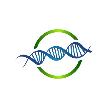 bir çift sarmal dna dizisi vektör çizim