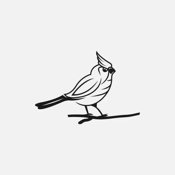 Colibri ή βουητό εικονίδια πουλιών. Διανυσματικό απομονωμένο σύνολο ιπτάμενων διδύμων — Διανυσματικό Αρχείο