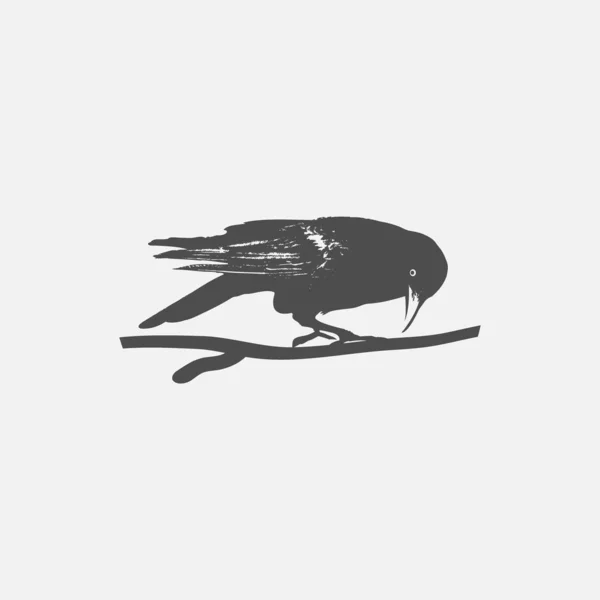 Icono de cuervo aislado sobre fondo blanco. Crow vector logo — Archivo Imágenes Vectoriales