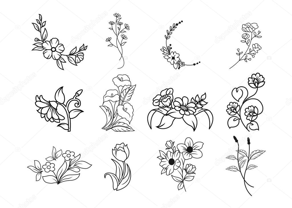 Wild flowers set. Sketch wildflowers and herbs nature botanical 