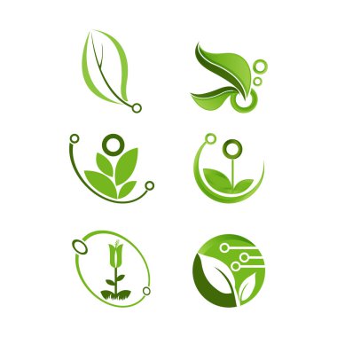Eko logoların vektör seti, organik doğa logoları bırakıyor. Bio-enerji organik dükkan logosu, ikon izole edildi. Yeşil logolar, sağlıklı yaşam