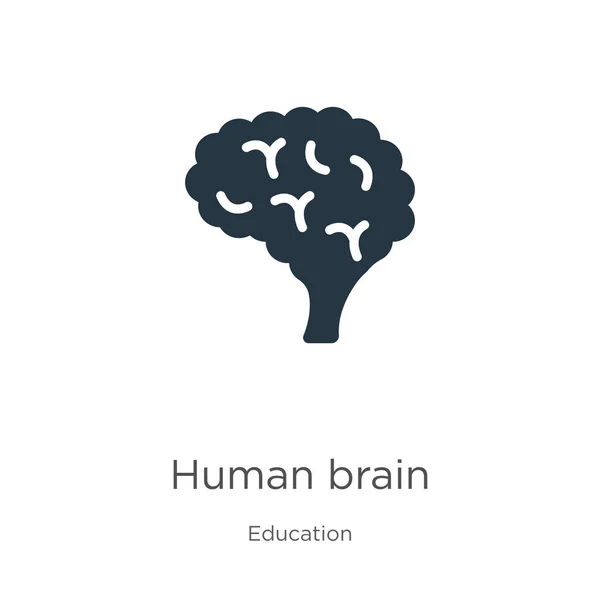Menneskelig hjerne ikon vektor. Trendy flad menneskelig hjerne ikon fra uddannelse samling isoleret på hvid baggrund. Vektorillustration kan bruges til web og mobil grafisk design, logo, eps10 – Stock-vektor