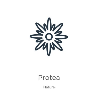 Protein ikonu. Doğa koleksiyonundan beyaz arkaplanda izole edilmiş ince doğrusal protea taslak ikonu. Çizgi vektör işareti, ağ ve mobil sembolü