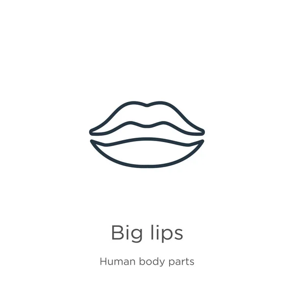 Icono de labios grandes. Labios grandes lineales delgados esbozan icono aislado sobre fondo blanco de la colección de partes del cuerpo humano. Línea vector labios grandes signo, símbolo para web y móvil — Vector de stock