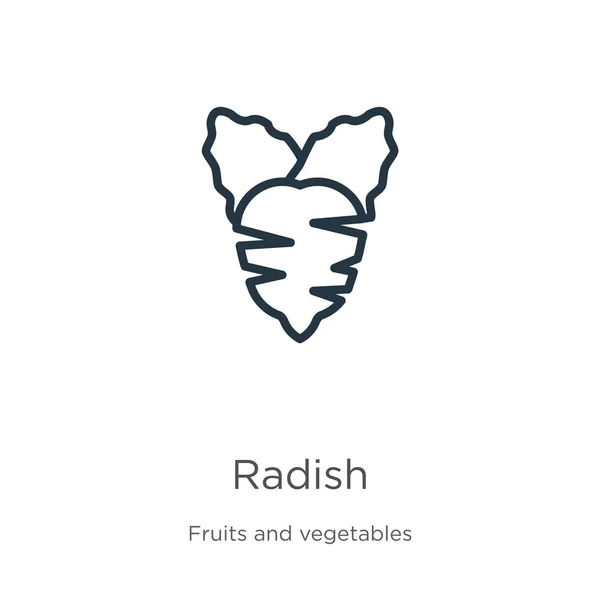 Ikona Radisha. Cienki liniowy zarys rzodkiewki ikona izolowana na białym tle z kolekcji owoców. Liniowy znak wektorowy rzodkiewki, symbol sieci web i mobile — Wektor stockowy