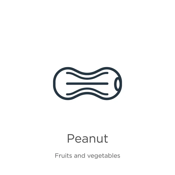 Jordnøddeikon. Tynd lineær jordnøddeomrids ikon isoleret på hvid baggrund fra frugtsamling. Linje vektor peanut tegn, symbol for web og mobil – Stock-vektor