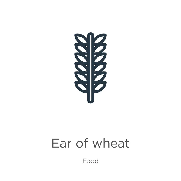 Ucho ikony pszenicy. Cienkie liniowe ucho ikony konturu pszenicy wyizolowanej na białym tle z kolekcji żywności. Linia wektorowa ucho pszenicy znak, symbol sieci web i mobile — Wektor stockowy