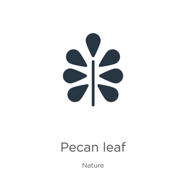 Ceviz yaprağı ikon vektörü. Beyaz arka planda izole edilmiş doğa koleksiyonundan moda düz pekan yaprağı ikonu. Vektör illüstrasyonu web ve mobil grafik tasarımı, logo, eps10 için kullanılabilir