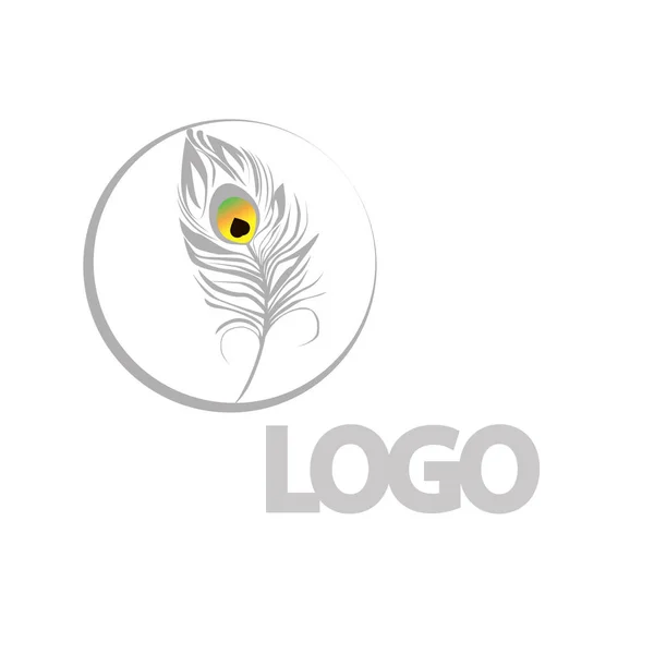 Picture Feather Colored Logo Logo Circle Logo New Company Institution — 스톡 벡터