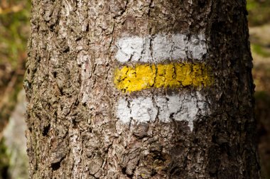 Ağaç tabelada sarı Turizm