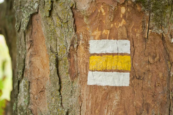 Señal turística amarilla en árbol —  Fotos de Stock