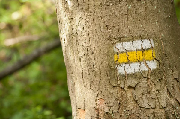 Señal turística amarilla en árbol —  Fotos de Stock