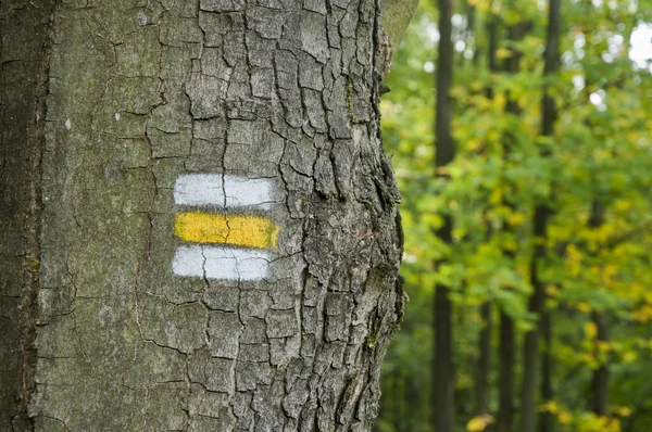 Señal turística amarilla en árbol —  Fotos de Stock