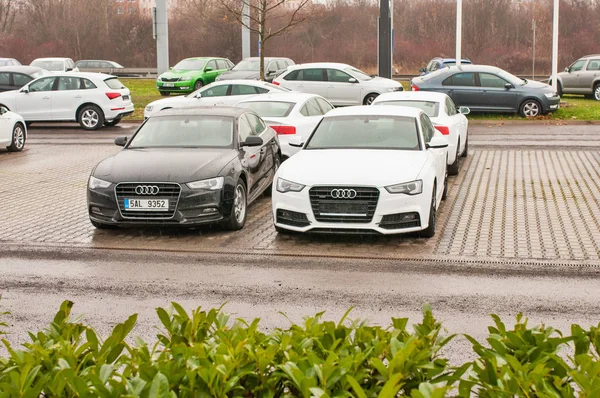 Audi araba satıcısı Audi önünde park etmiş.