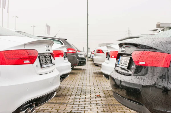 Voitures Audi garées devant le concessionnaire Audi — Photo