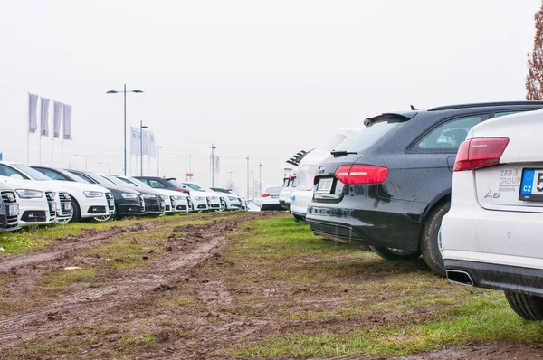 Audi araba satıcısı Audi önünde park etmiş.
