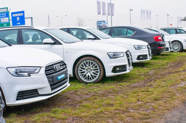 Audi cars parked in front of dealer Audi Royalty Free Stock Photos