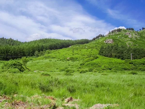 Scozia natura in estate — Foto Stock