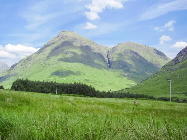 Scozia natura in estate — Foto Stock