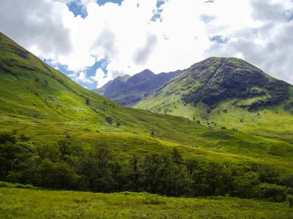 Scozia natura in estate — Foto Stock