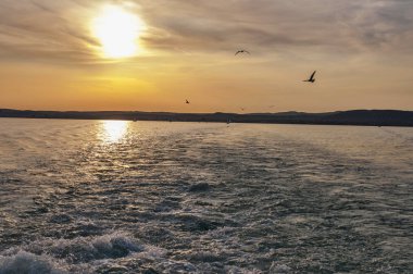 Tekneden arkadan görünüş