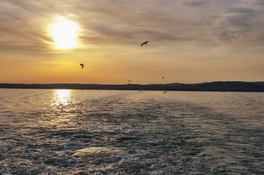 Tekneden arkadan görünüş