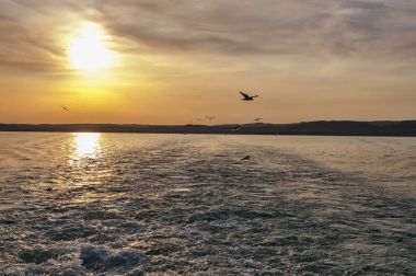 Tekneden arkadan görünüş