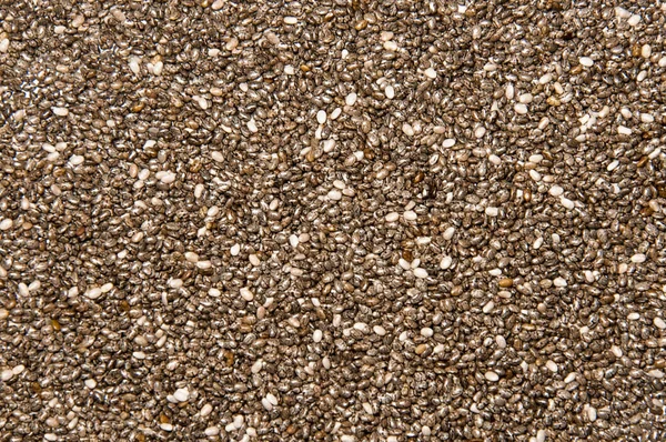 Chia-Samen isoliert auf weißem Hintergrund — Stockfoto