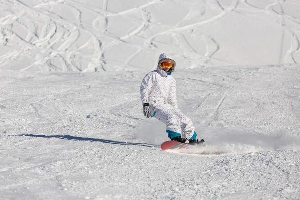 Snowboarder Sur Pente Enneigée Activité Plein Air Sport Hiver — Photo