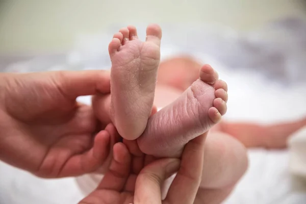 Feet of newborn, small and delicate.  Newborn.