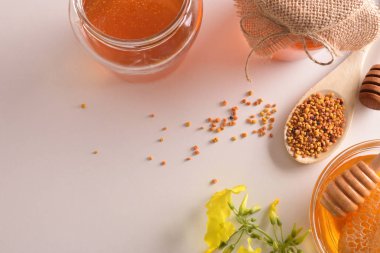 Bal peteği ve polen arı top ile konteyner