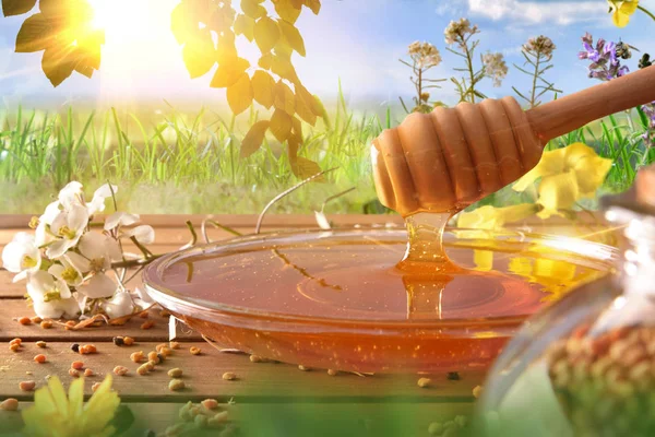 Мед падає в скляну тарілку з фоном природи — стокове фото