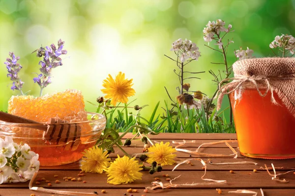 Honigtopf und Wabe mit grünem Naturhintergrund mit Blume — Stockfoto