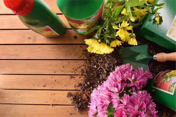 Bottles and containers gardening products on wood top view