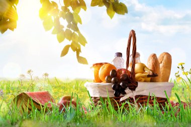 Piknik sepet ile gıda alanında çimenlerin üzerinde 