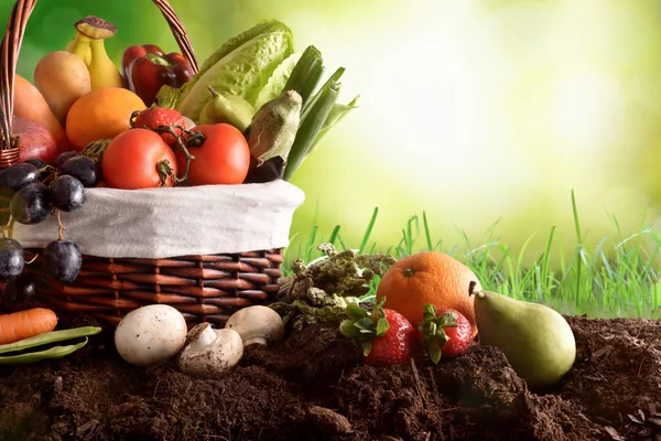 各式各样的水果和蔬菜对土壤和绿色的背景 — 图库照片