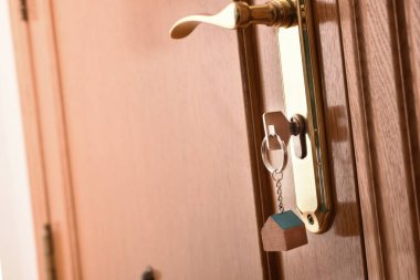 Giriş kapı detaylı yan görünüm