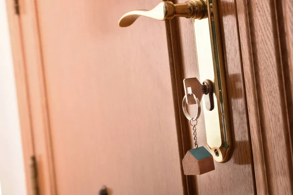 Entrance door detail lateral view — Stock Photo, Image