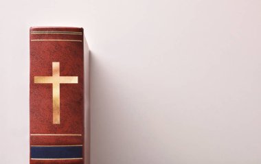 Blibia masa üstü üzerinde omurga