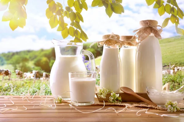 Recipientes de vidrio llenos de leche de vaca en un prado — Foto de Stock